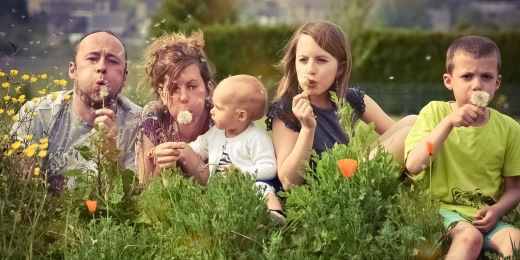 Thérapie familiale systémique, avec ou sans hypnose conversationnelle - Namur